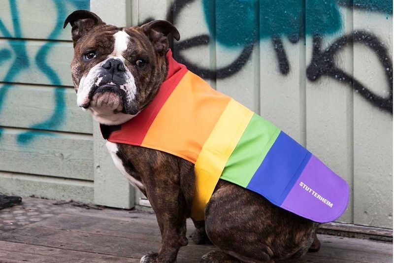 Rainbow Dog Rain Coats