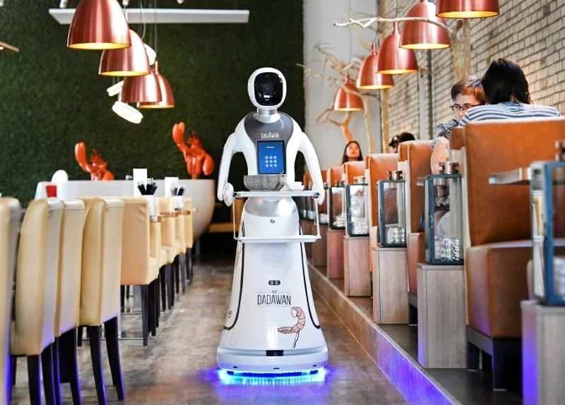 Humanoid Robot Servers