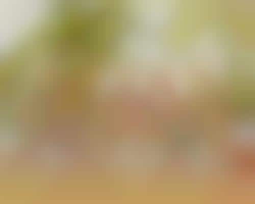 Food-Grade Hair Oils