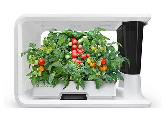 Connected Automated Smart Gardens