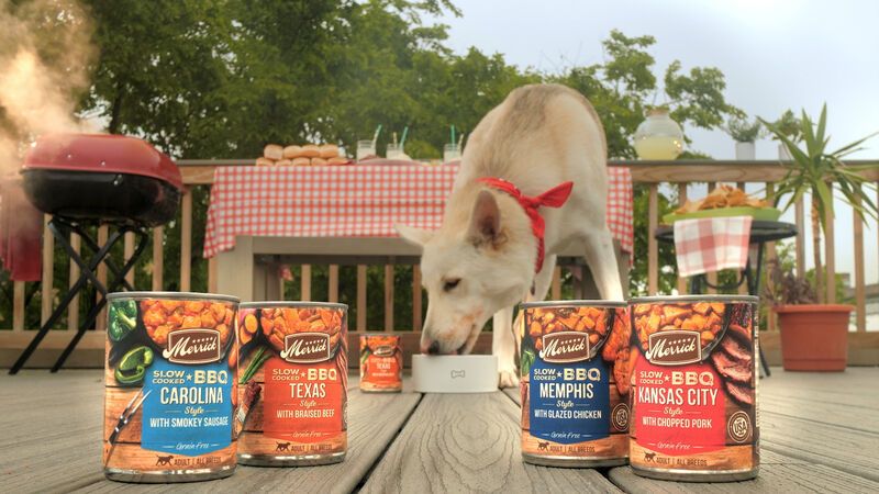 BBQ Dog Food Bowls