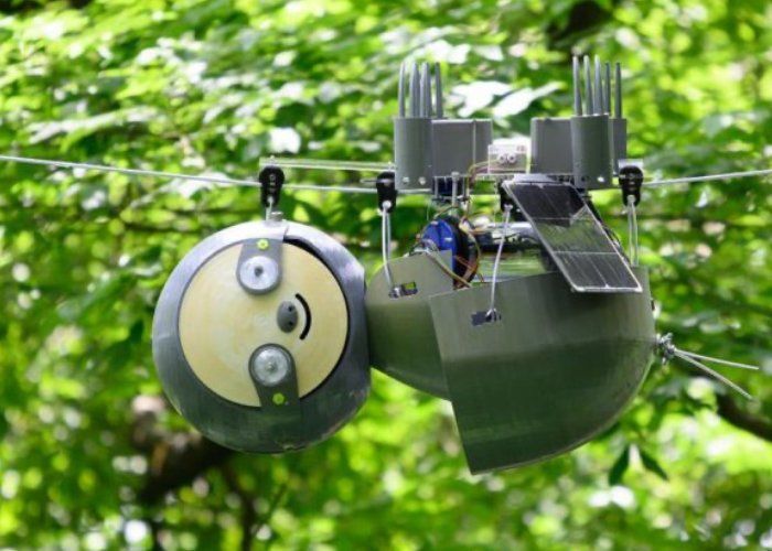 Sloth-Like Conservation Robots
