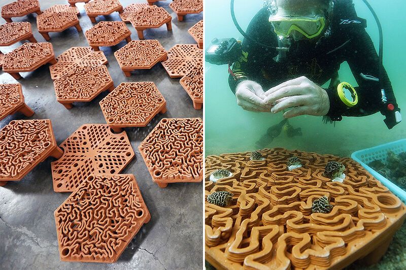 3D-Printed Coral Support Tiles