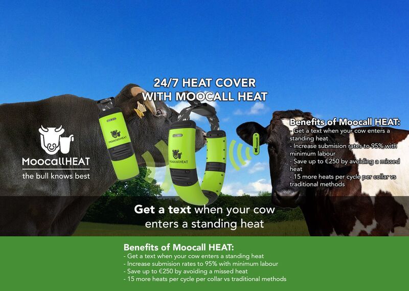 Cow Heat Trackers