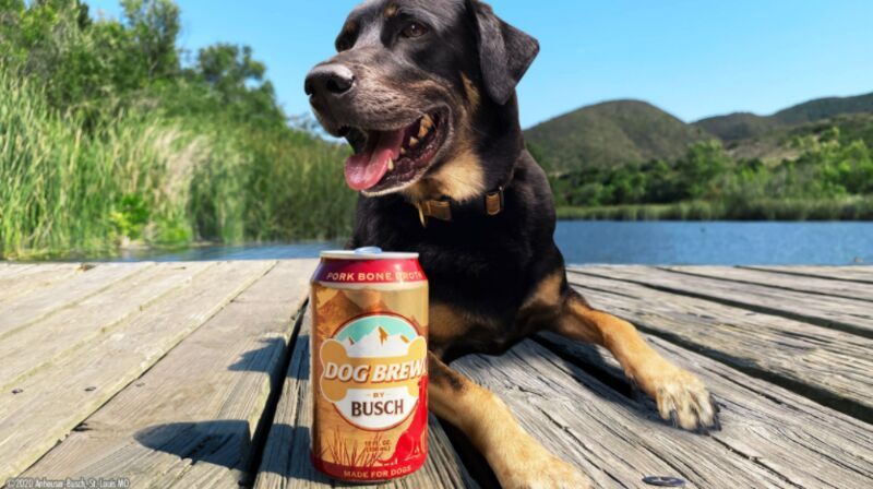 Dog-Inspired Beer Campaigns