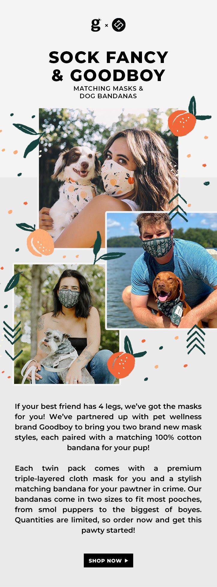 Matching Dog-and-Owner Mask Sets