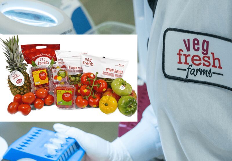 Anti-Microbial Fresh Produce Packaging