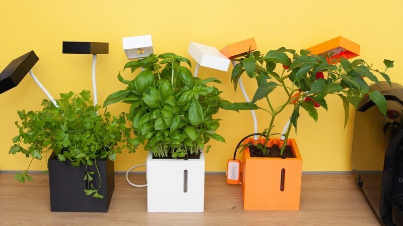 Customizable Indoor Smart Gardens