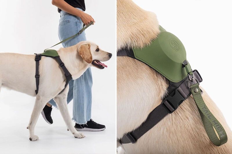 Leash-Equipped Dog Harnesses