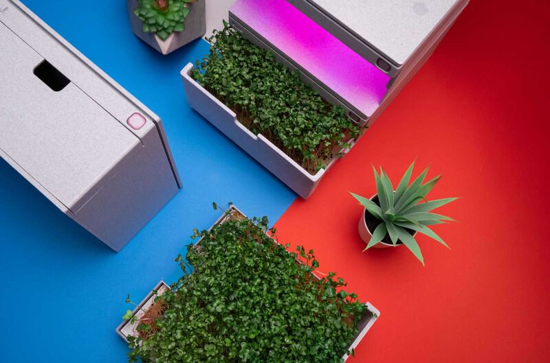 Enclosed Self-Sufficient Micro Gardens