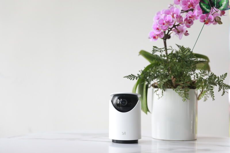 AI Home Security Systems