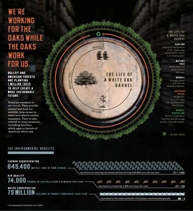 Forest-Supporting Whisky Initiatives
