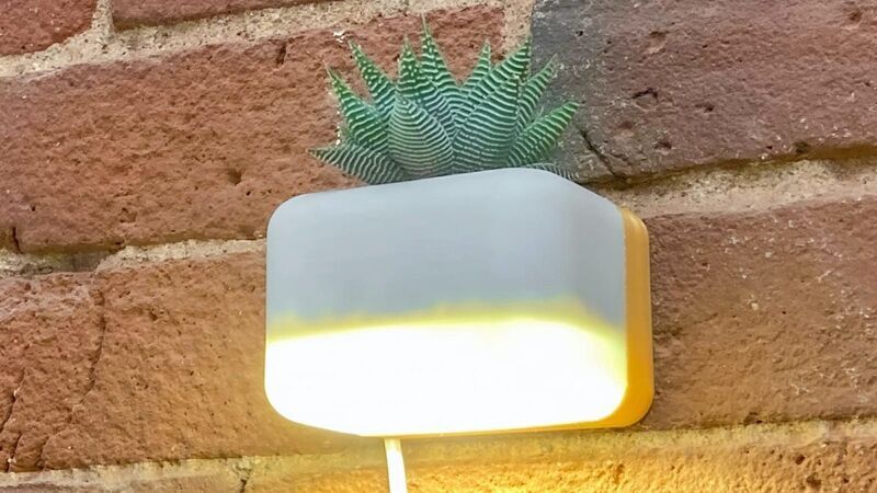Soothing Succulent-Holding Lights