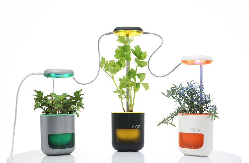 Affordable Self-Watering Planters