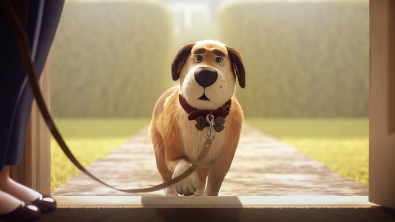 Animated Pet Nutrition Ads