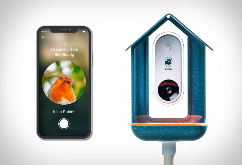 bird buddy smart feeder