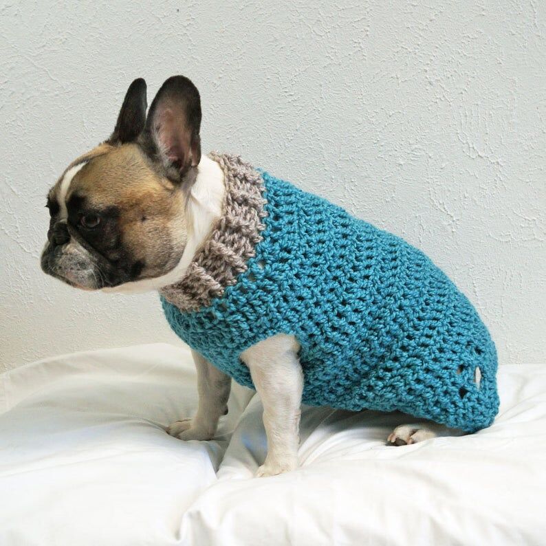 Crocheted Paw-Print Dog Jumpers