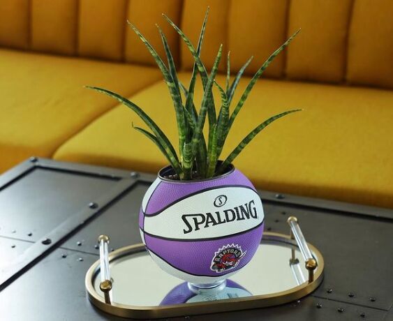 Specially Curated Basketball Planters