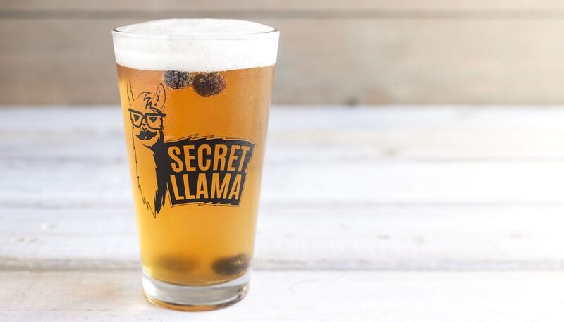 Llama-Themed Beer Promotions