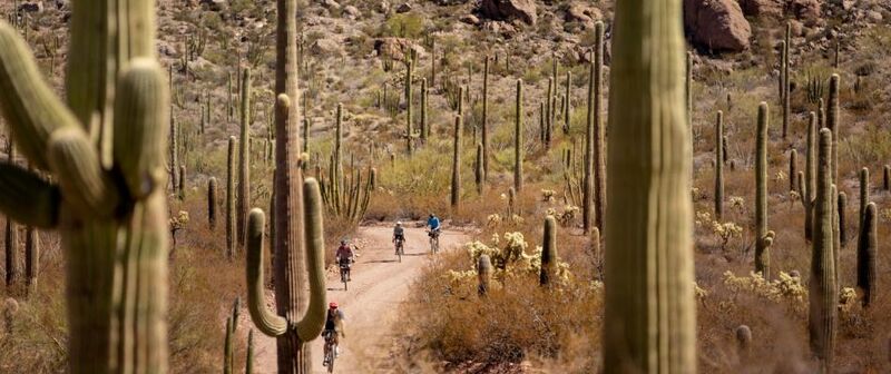 Rugged National Monument Bike Tours