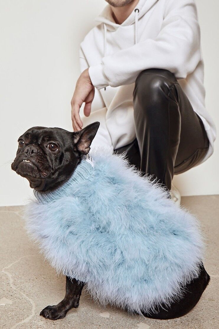 Feather Dog Sweaters