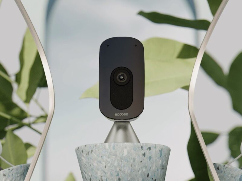 Voice Assistant Security Cameras