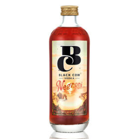 Bottled Negroni Cocktails
