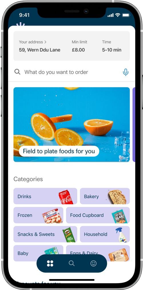 10-Minute Grocery Delivery Platforms