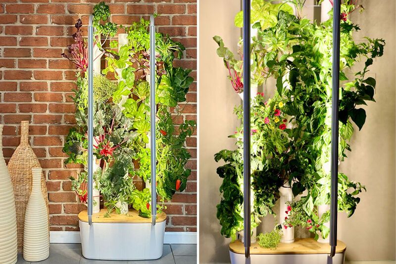 All-in-One Indoor Garden Systems