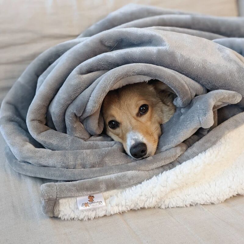 Waterproof Pet Blankets : plush dog blanket