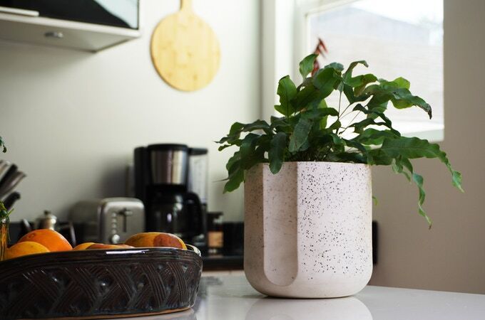 Upcycled Porcelain Planters