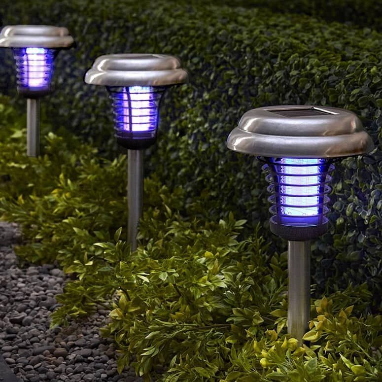 Dual-Purpose Garden Lights