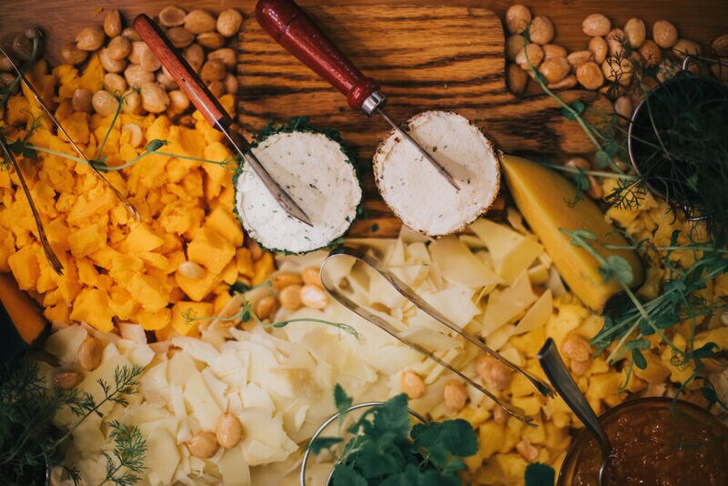Microbe-Based Cheese Alternatives