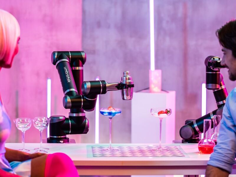 Affordable Modular Robots