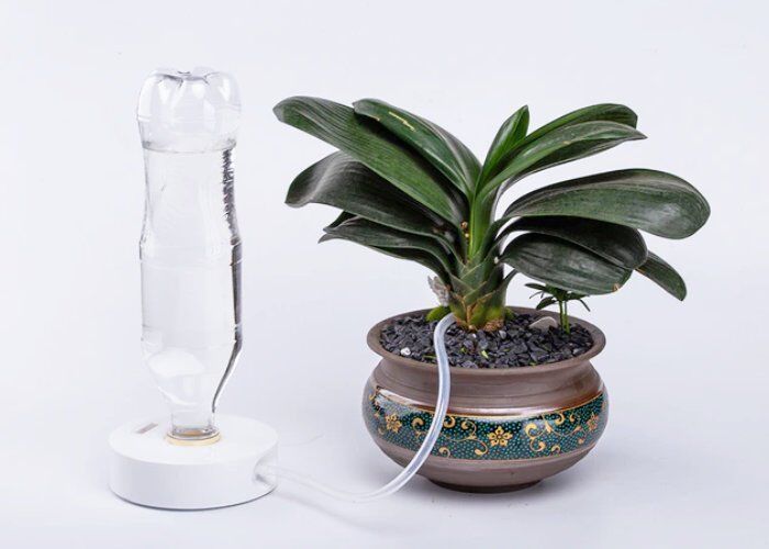 Self-Watering Houseplant Systems