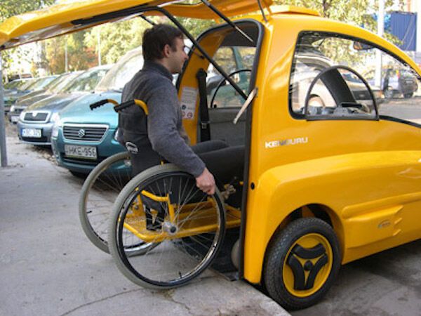 Wheelchair Accessible EVs
