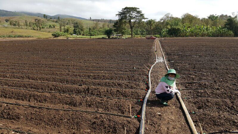 Regenerative Farming Initiatives Main Gallery Image