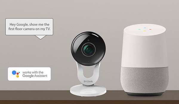 Voice Assistant Security Cameras