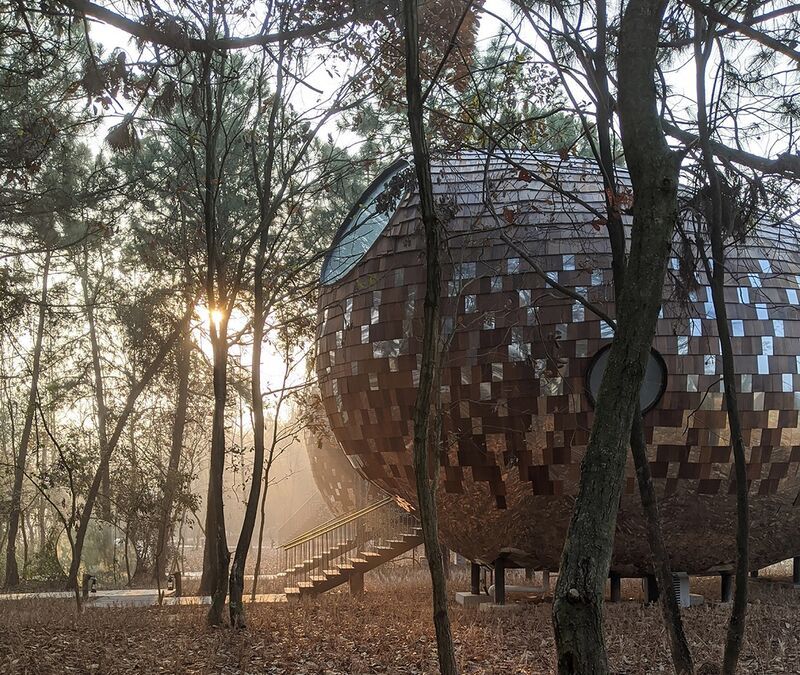 Immersive Seed-Shaped Cabins