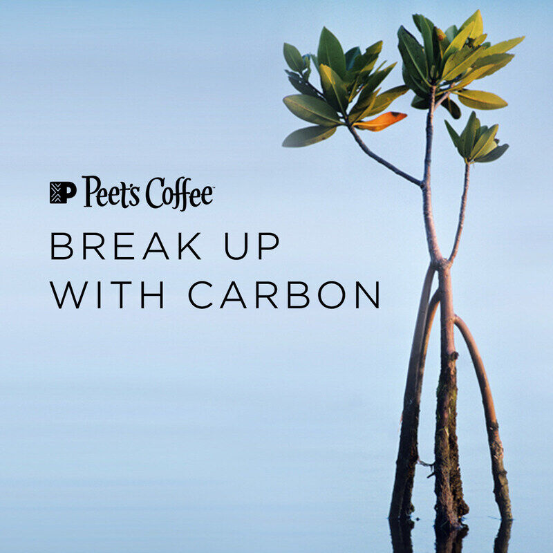 Carbon-Neutral Coffee Subscriptions Main Gallery Image