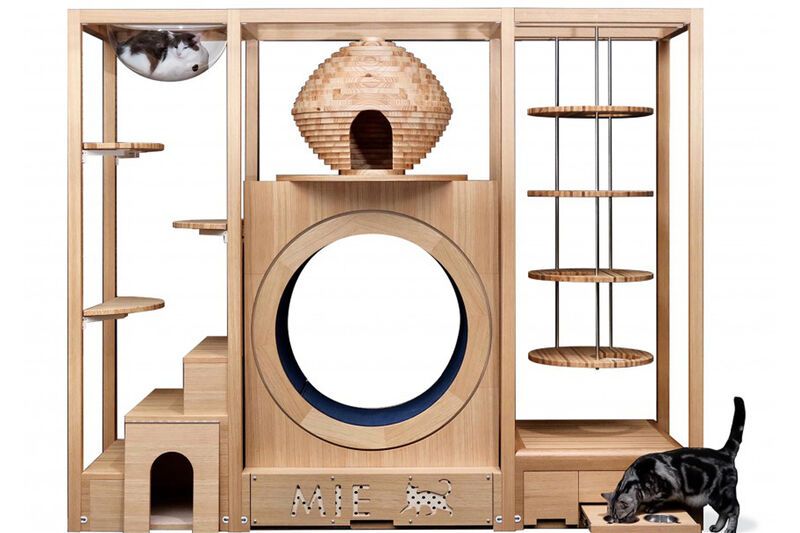 All-in-One Cat Care Houses
