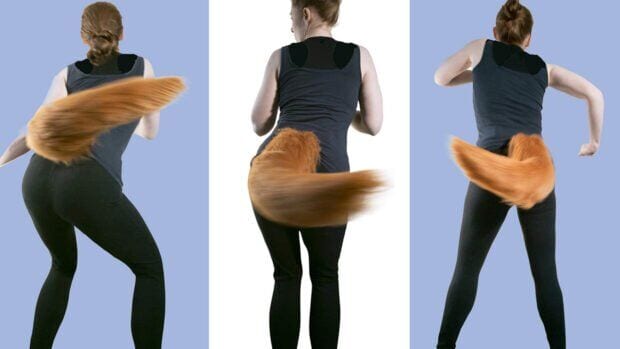 Animatronic Tail Accessories