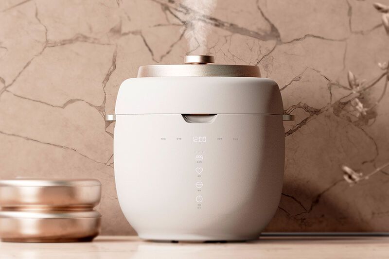 Double-Layered Electric Rice Cookers