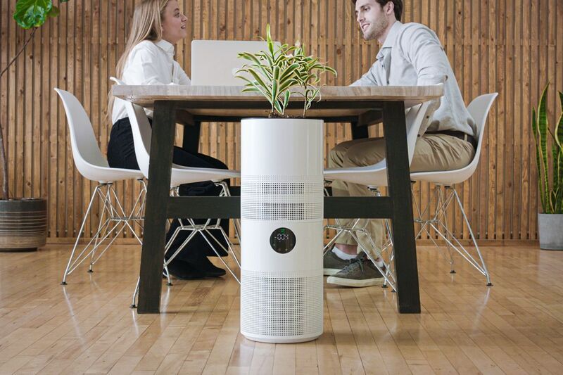 Plant-Integrated Air Purifiers