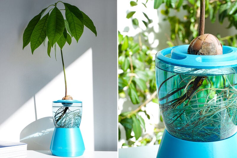 Broken Glassware Hydroponic Planters