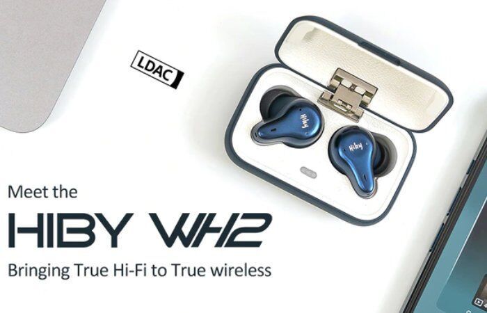 Mini HiFi Audio Earbuds