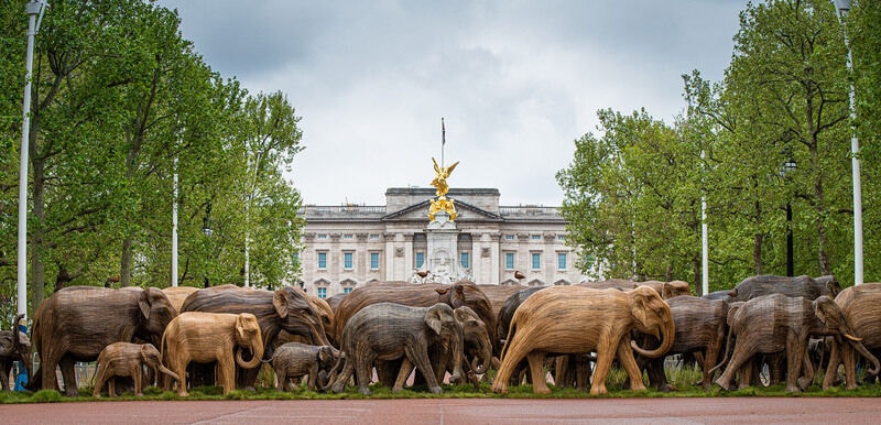 Life-Sized Elephant Conservation Projects Main Gallery Image