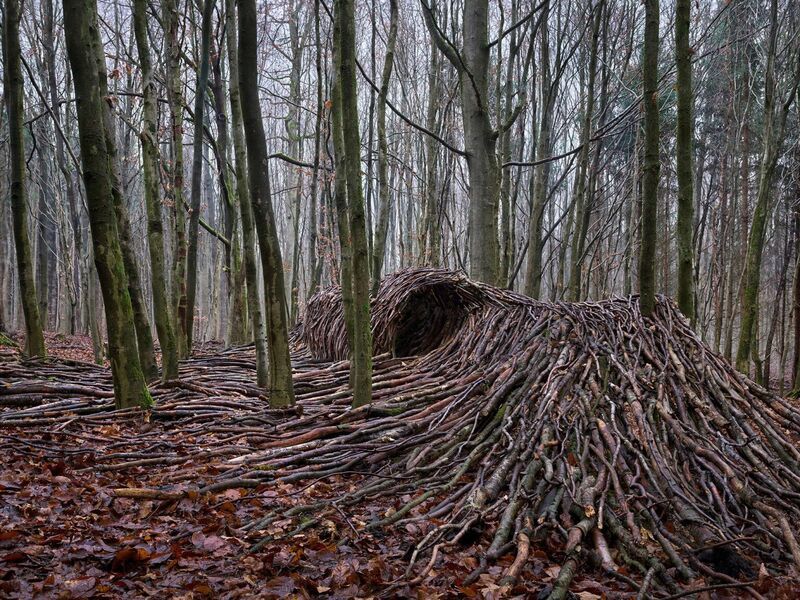 Pandemic-Inspired Woodland Sculptures