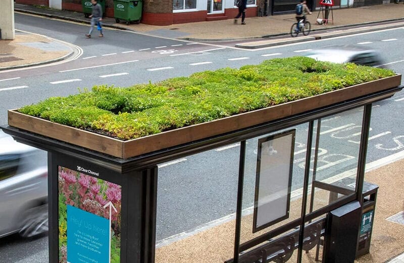 Bee-Friendly Bus Shelters