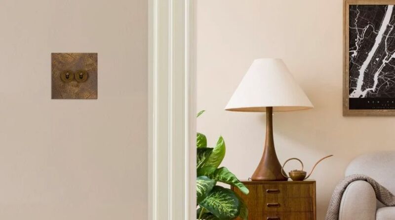 Nature-Inspired Electrical Switches